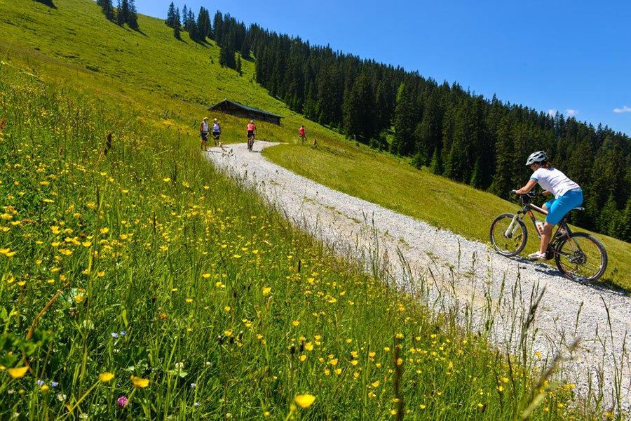 ferienbauernhof-saalfelden-sommer002