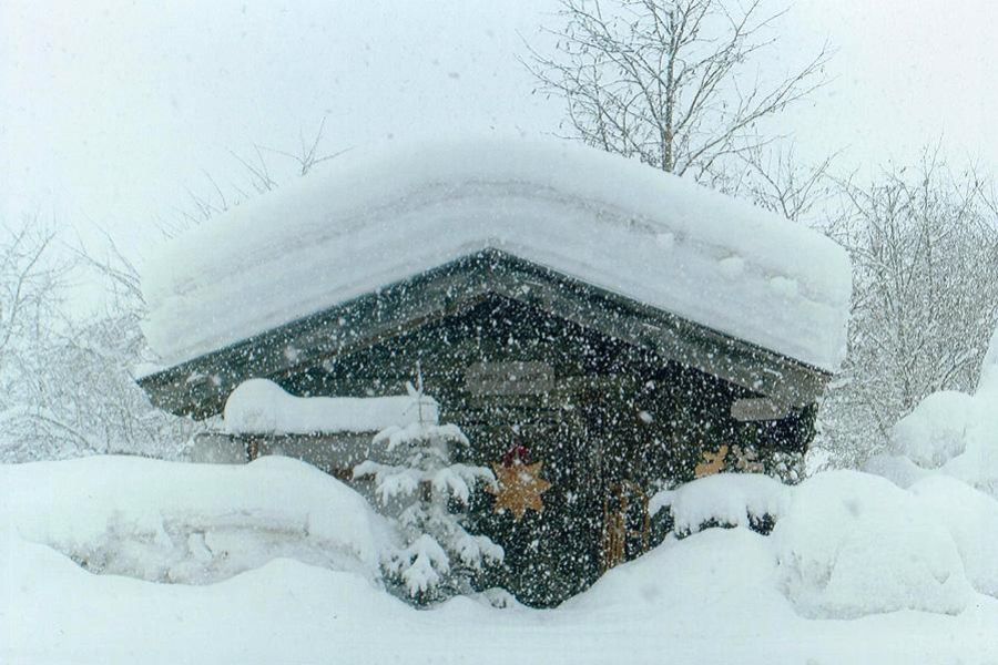 ferienbauernhof-saalfelden002